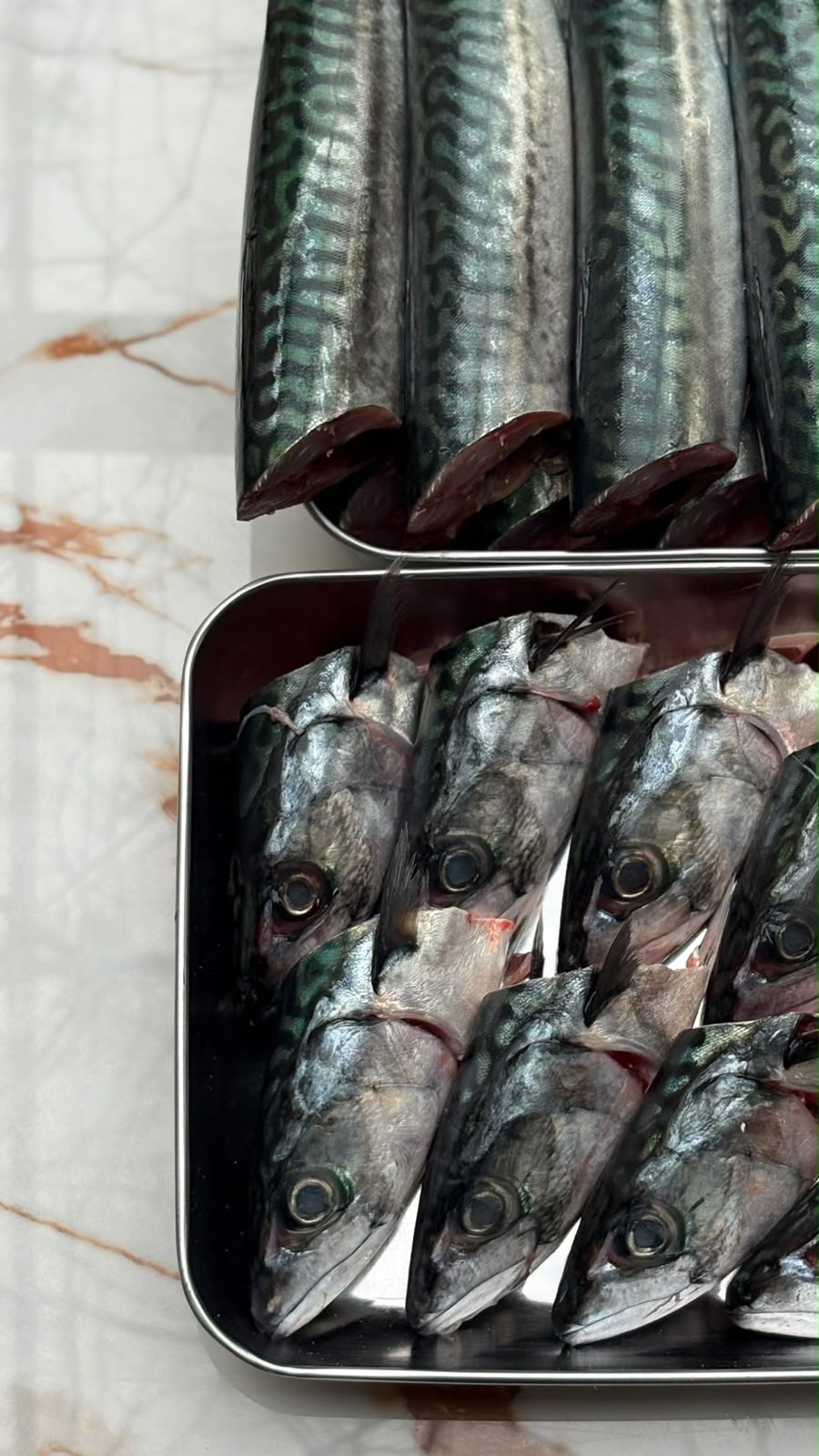 Φρέσκο ψάρι καθημερινά στο Nonnas Athens 
