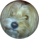 Martha Michalopoulou profile picture
